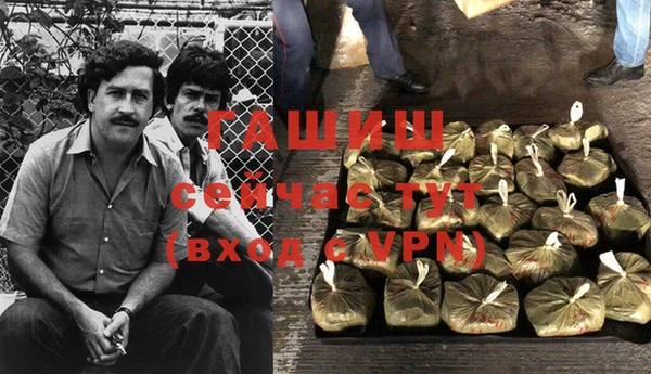 таблы Богородицк