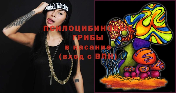 a pvp Белокуриха