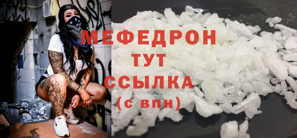 МДПВ Бородино