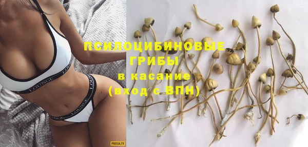 a pvp Белокуриха