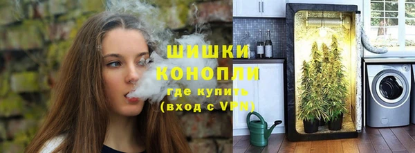 таблы Богородицк