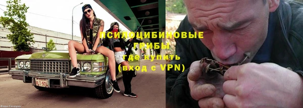 первитин Богданович